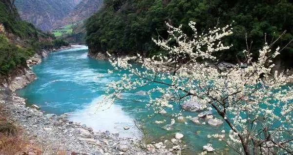 “懒汉”陈裕德:56岁离世家里却没钱安葬!如今他的妻儿怎样了?