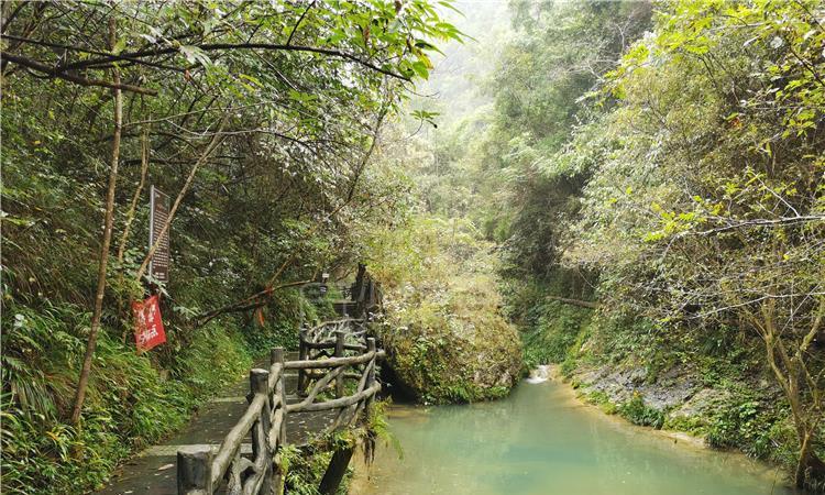 搭载2.0T发动机,捷途旅行者银龙之翼