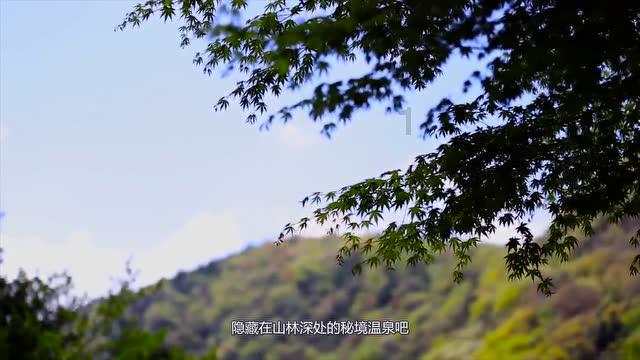 青海西宁:备战春运,给动车组列车做“高原体检”