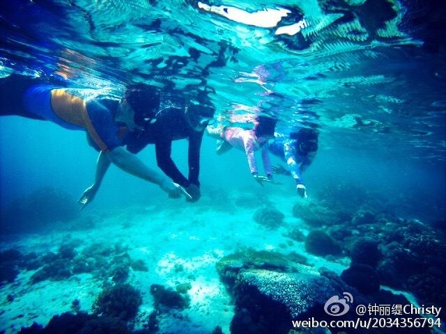 大丛林度假村逃生