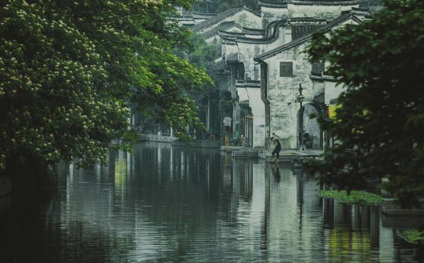 寻找火鸡