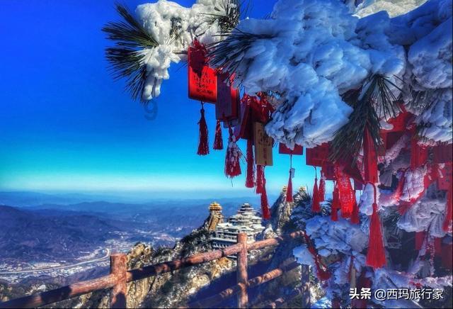 失眠多梦，肝火旺？白开水里扔点“它”，降肝火，肝毒也不见了！